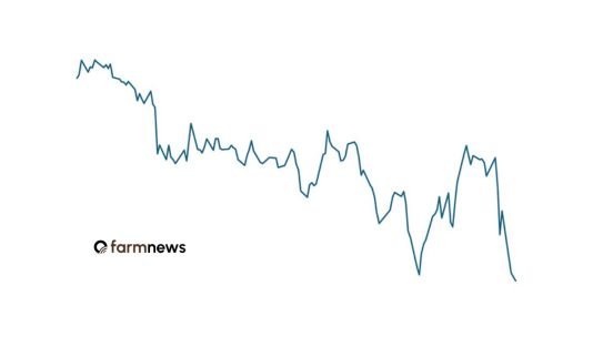preço futuro do boi gordo
