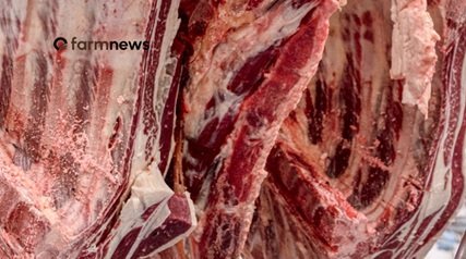 exportação de carne bovina