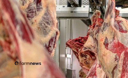 exportação de carne bovina do Brasil