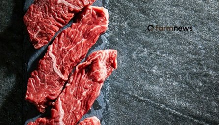 venda de carne bovina