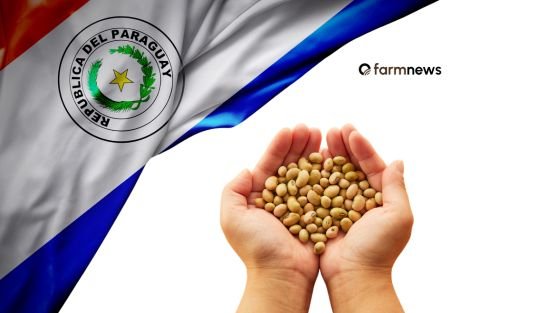 paraguai