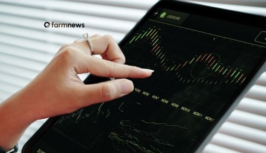 contatos futuros do milho