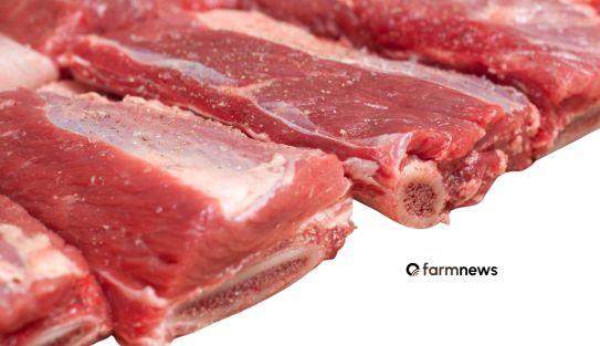 consumo de carne bovina no Brasil consumo de carne bovina no Brasil