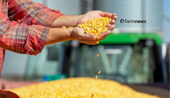 exportação de milho do Brasil