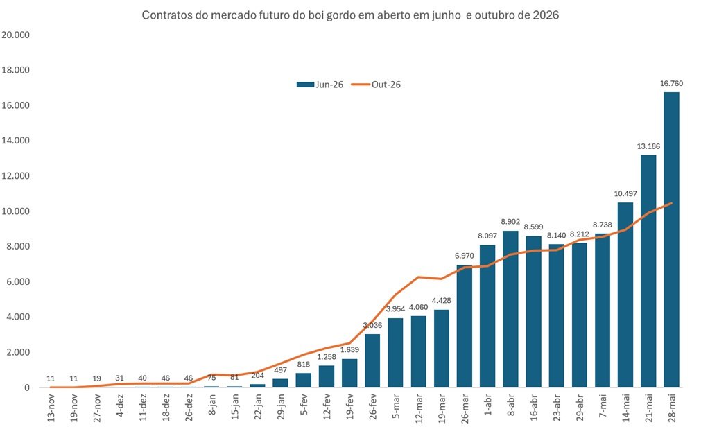 contrato futuro do boi gordo