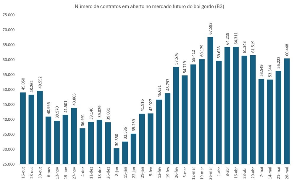 contrato futuro do boi gordo