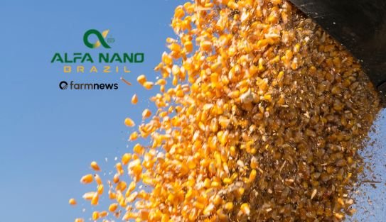 Nanotecnologia: por que será diferencial competitivo no campo? Parte 1