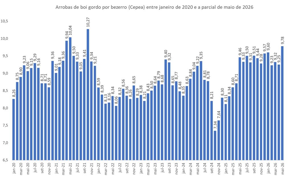 arrobas de boi gordo por bezerro