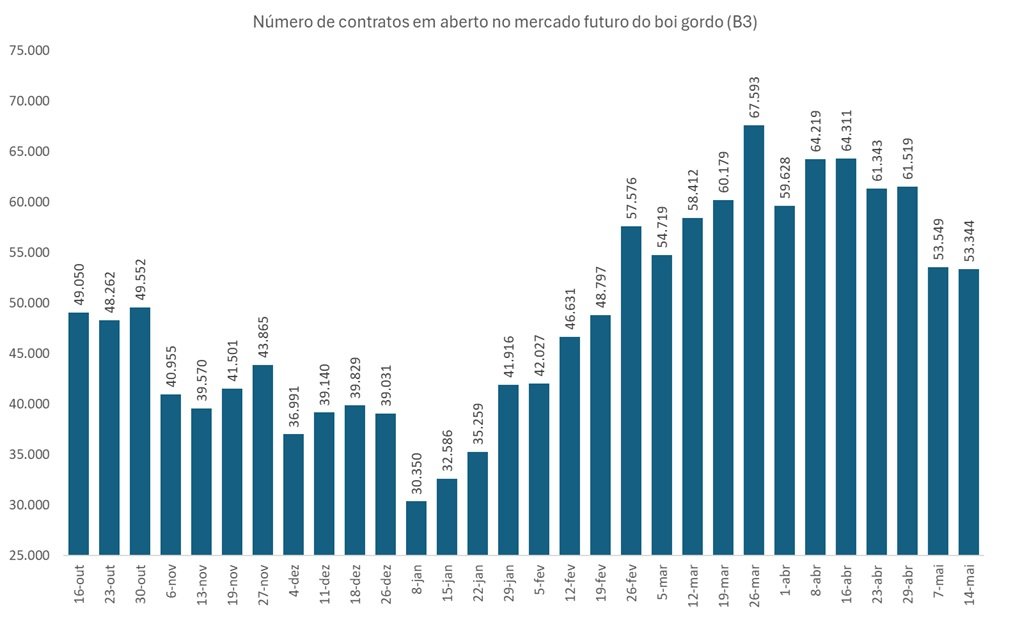 contrato futuro do boi gordo