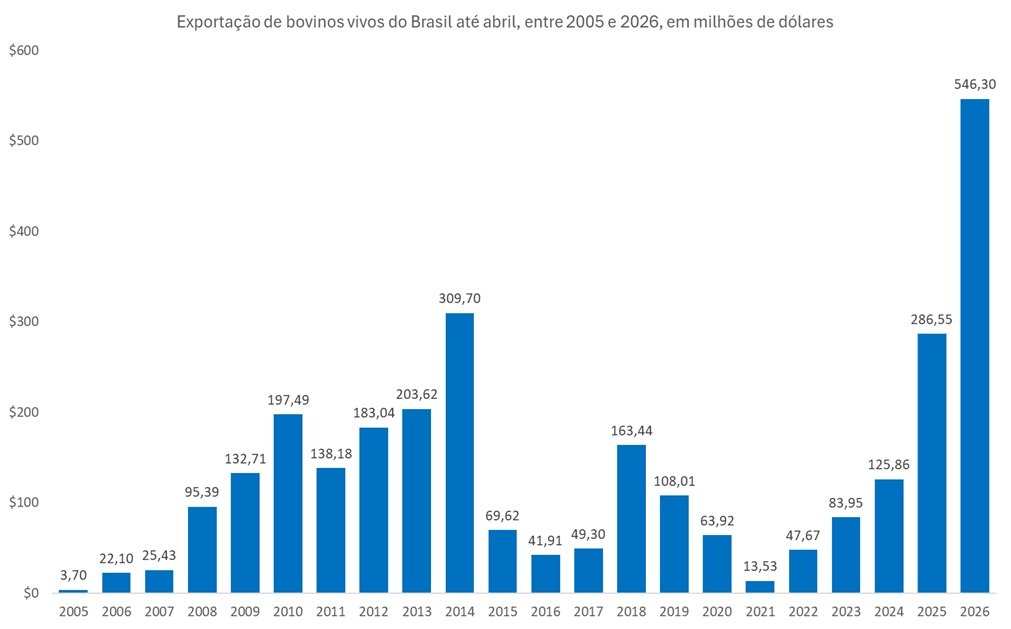 exportação de bovinos vivos
