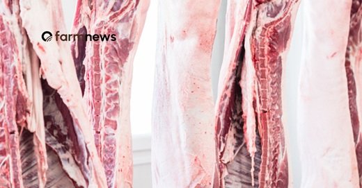 carne bovina carne bovina