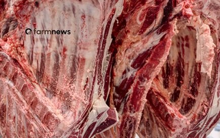 importação de carne bovina do Brasil pela China