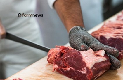 exportação de carne bovina