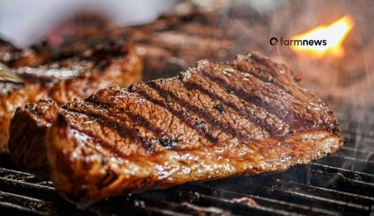 exportação de carne bovina do Brasil para os EUA