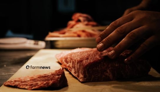 venda de carne bovina