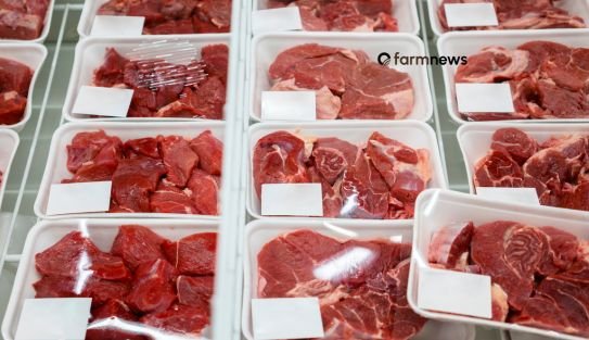 demanda por carne bovina