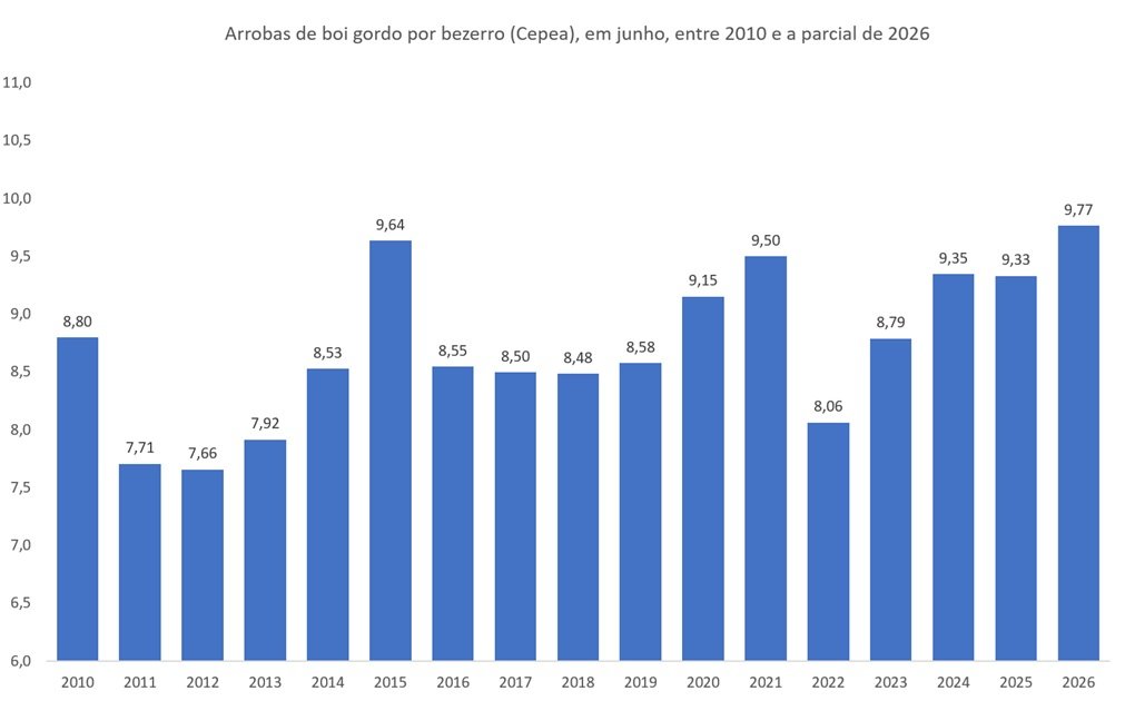 arrobas de boi gordo por bezerro
