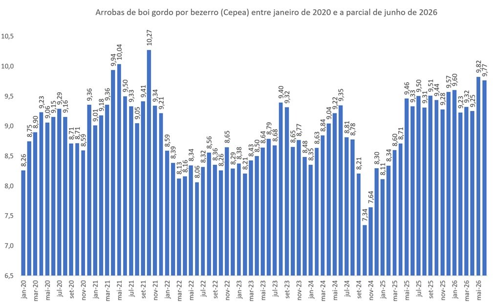 arrobas de boi gordo