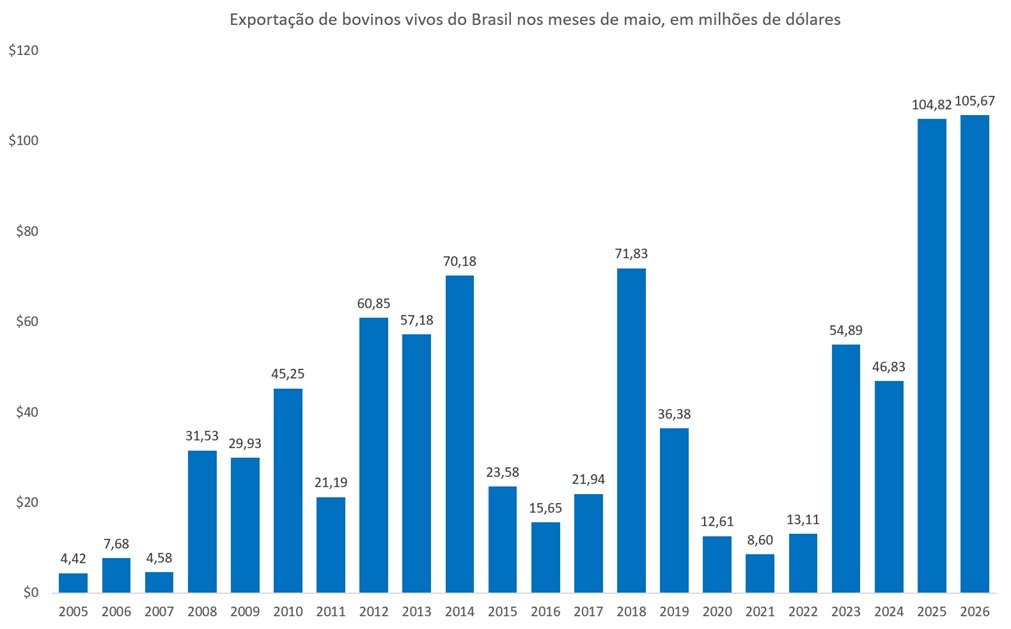 exportação de bovinos vivos