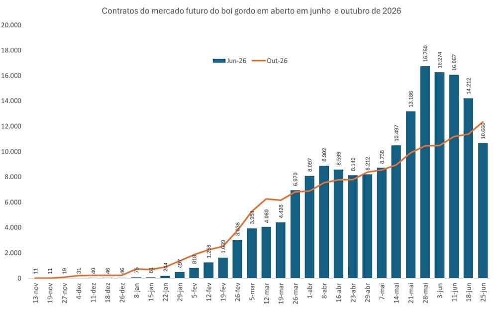 mercado futuro do boi gordo