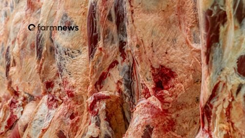 carne bovina do Brasil para os EUA