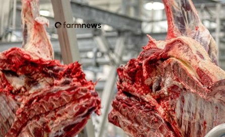 Preço da carne bovina exportada do Brasil para a UE próximo da máxima histórica
