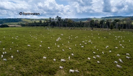 Operação Pasto Nullus