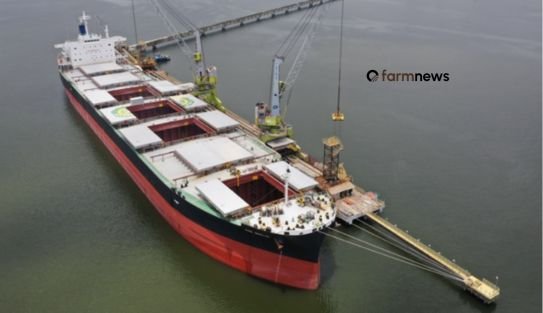 mercado de fertilizantes mercado de fertilizantes