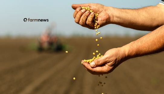 commodity commodity