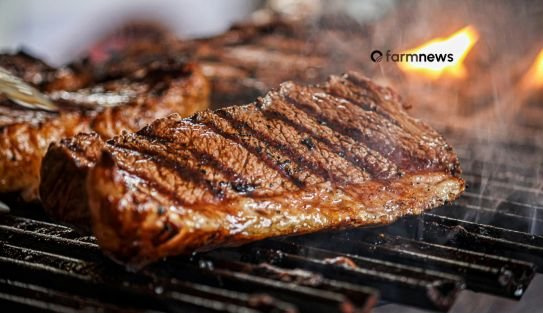 consumo de carne bovina