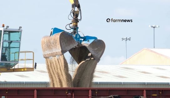mercado de fertilizantes