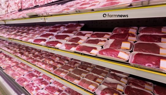 preço da carne bovina