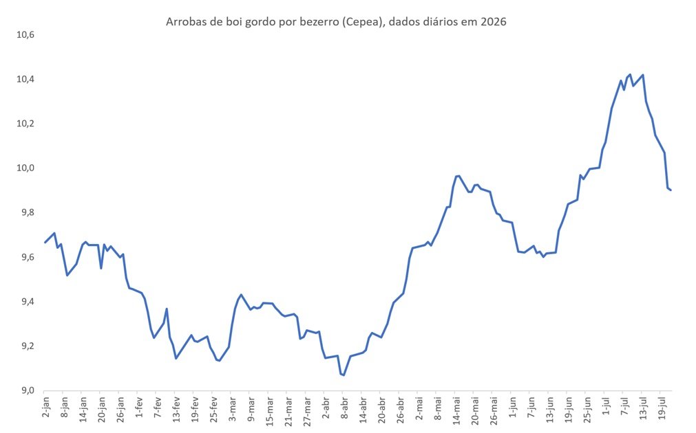arrobas de boi gordo por bezerro