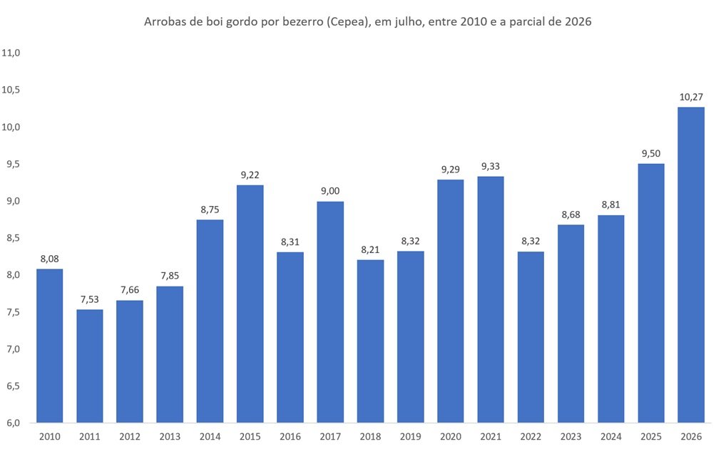 boi gordo por bezerro