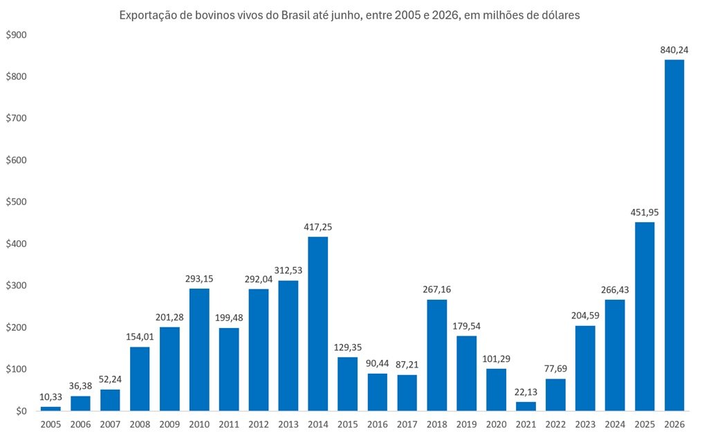exportação de bovinos vivos