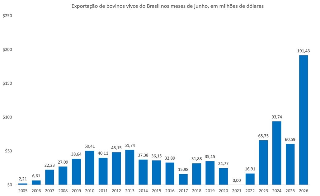 exportação de bovinos vivos