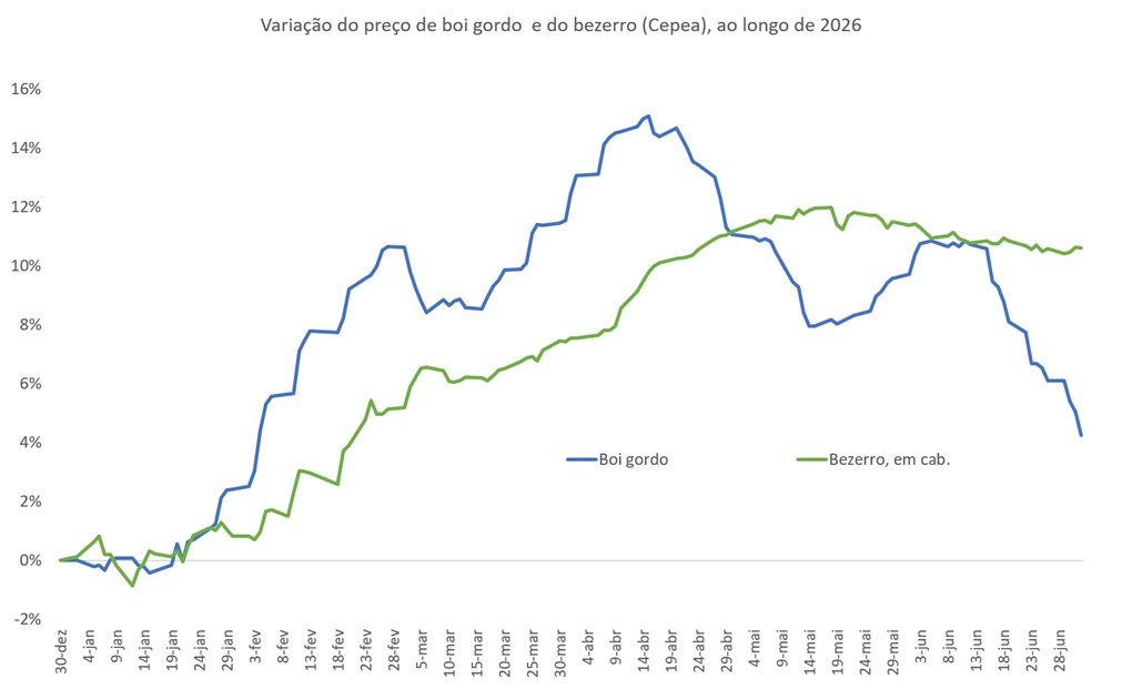 preço do bezerro