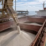mercado de fertilizantes