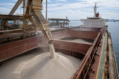 mercado de fertilizantes