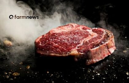preço da carne bovina