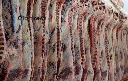embarque de carne