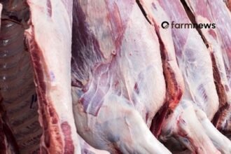 carne bovina do Brasil para a China