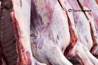 carne bovina do Brasil para a China