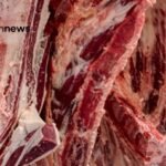 exportação de carne bovina
