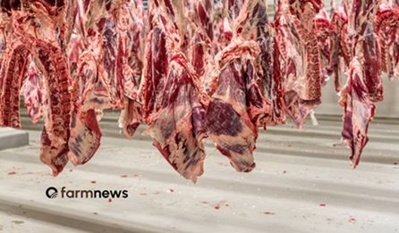 preço da carne bovina nos EUA