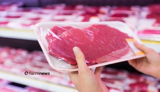 mercado de carne bovina