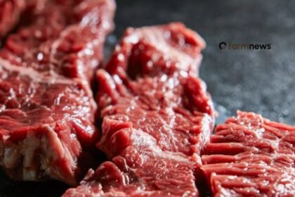 mercado de carne bovina