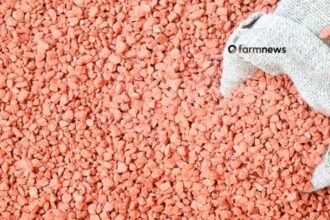 importação de fertilizantes