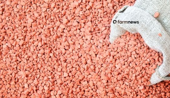 importação de fertilizantes