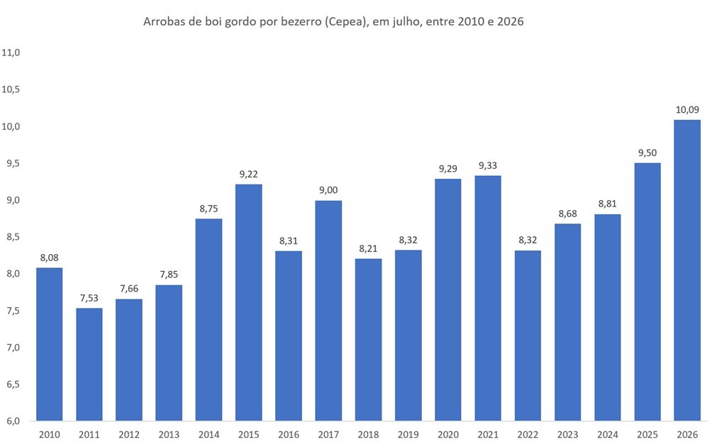 boi gordo por bezerro